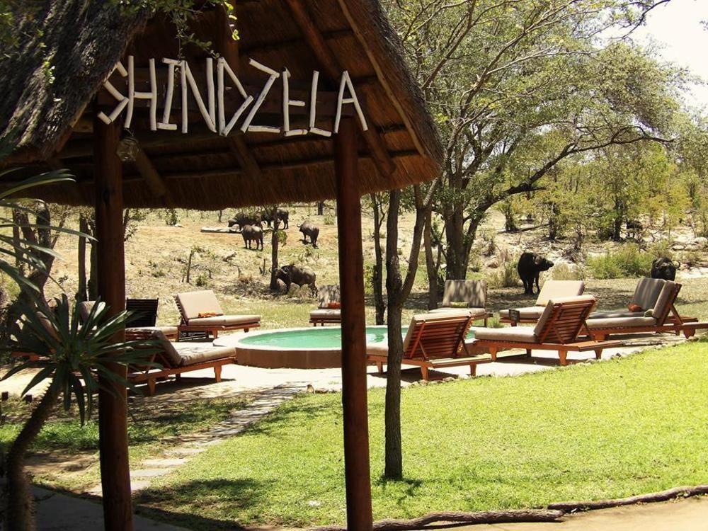 Shindzela Tented Camp Game ReserveTimbavati Exterior foto