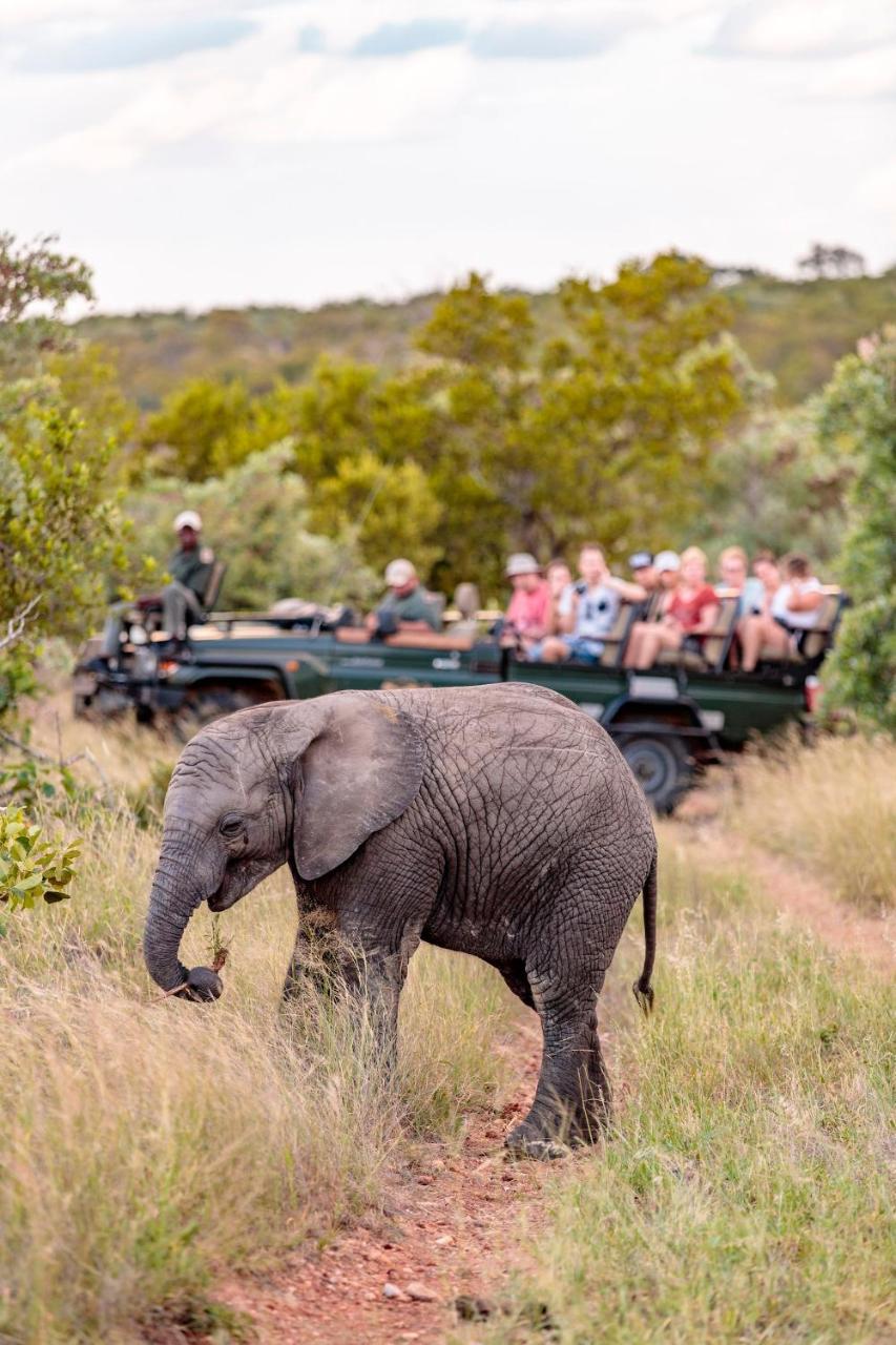 Shindzela Tented Camp Game ReserveTimbavati Exterior foto