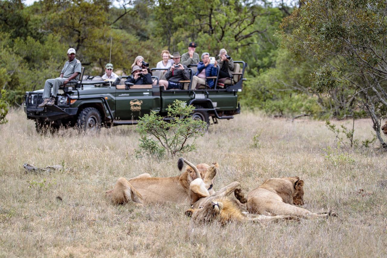 Shindzela Tented Camp Game ReserveTimbavati Exterior foto