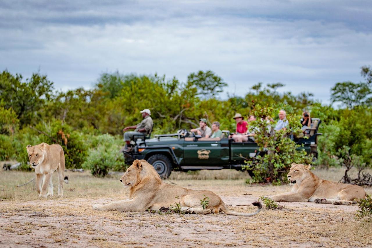 Shindzela Tented Camp Game ReserveTimbavati Exterior foto