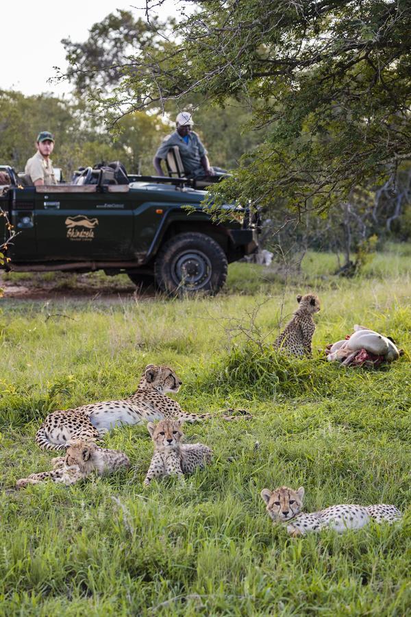 Shindzela Tented Camp Game ReserveTimbavati Exterior foto