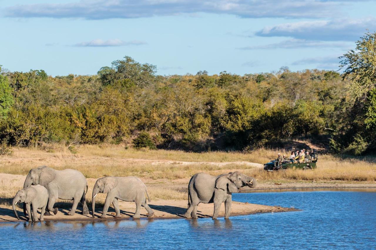 Shindzela Tented Camp Game ReserveTimbavati Exterior foto