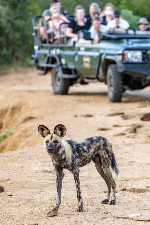Shindzela Tented Camp Game ReserveTimbavati Exterior foto