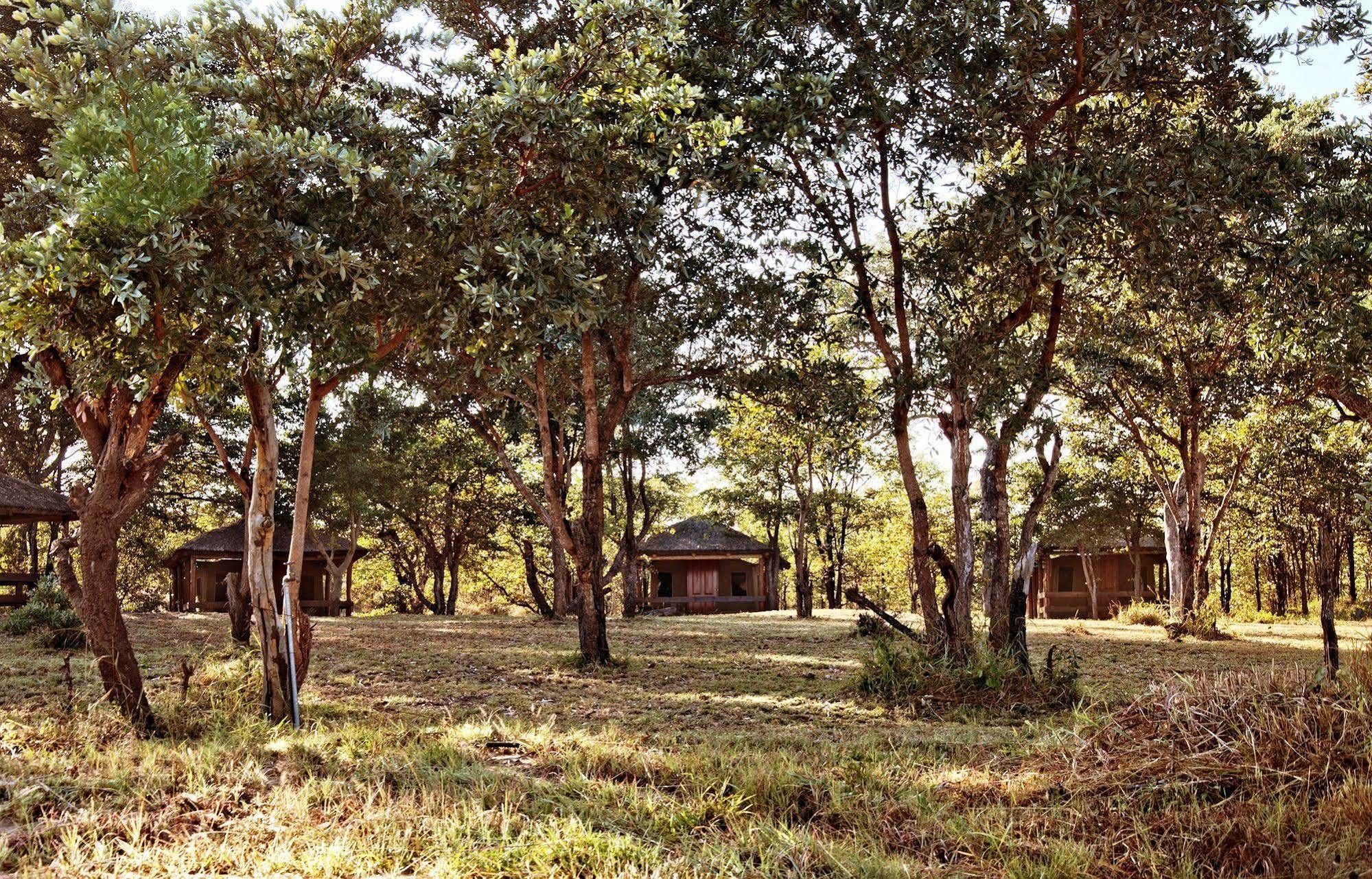 Shindzela Tented Camp Game ReserveTimbavati Exterior foto