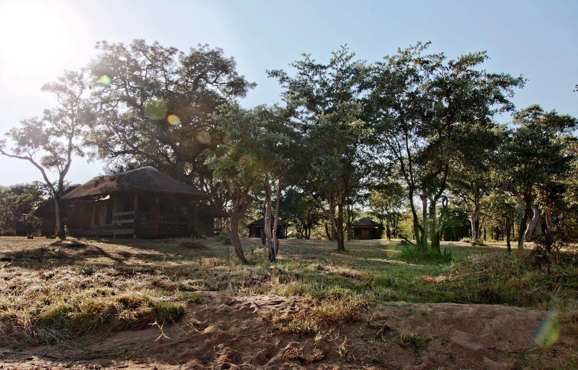 Shindzela Tented Camp Game ReserveTimbavati Exterior foto