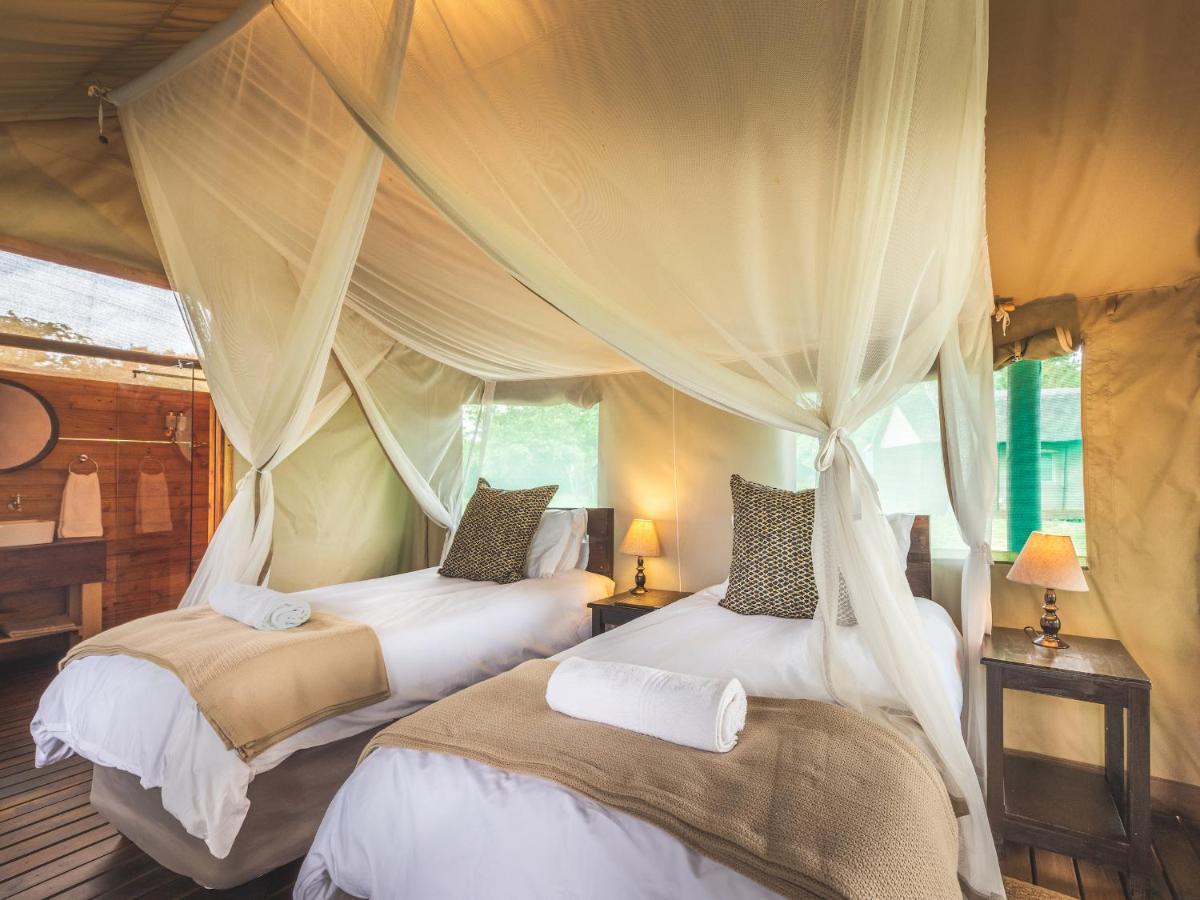 Shindzela Tented Camp Game ReserveTimbavati Exterior foto