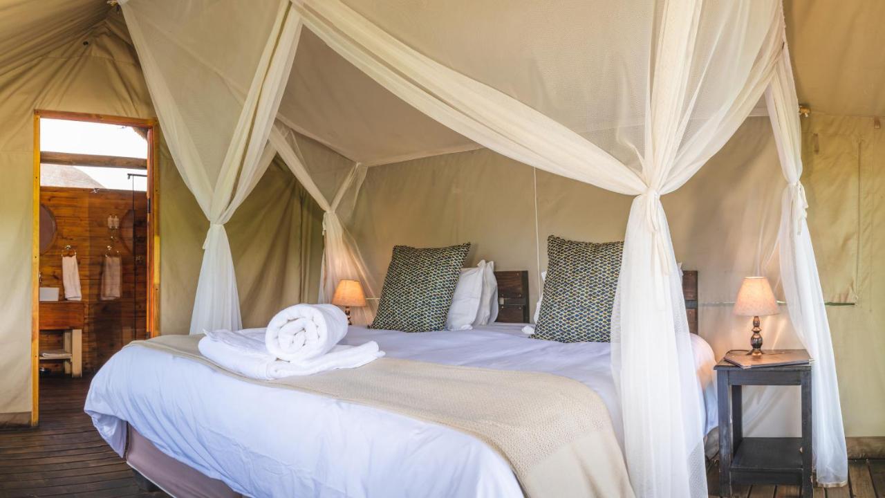 Shindzela Tented Camp Game ReserveTimbavati Exterior foto
