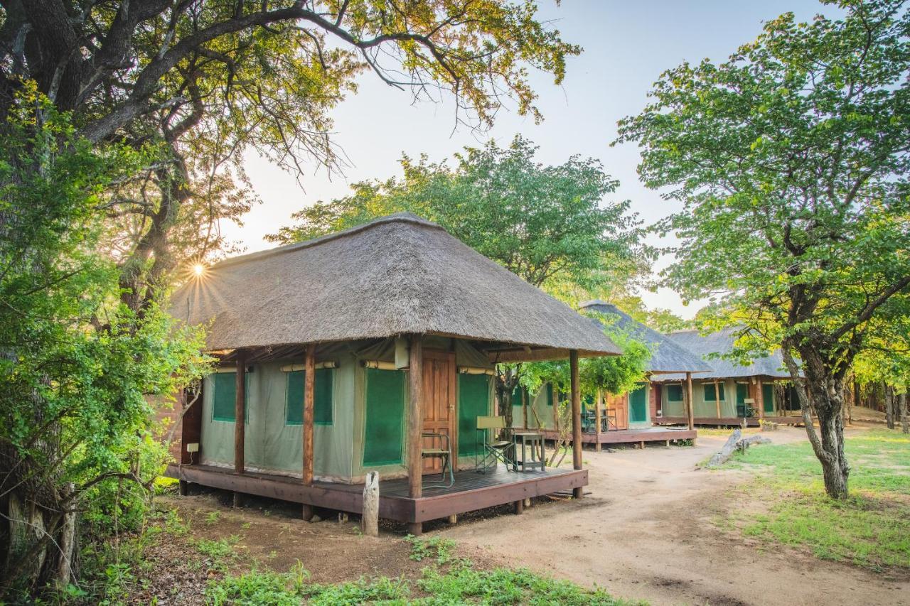 Shindzela Tented Camp Game ReserveTimbavati Exterior foto