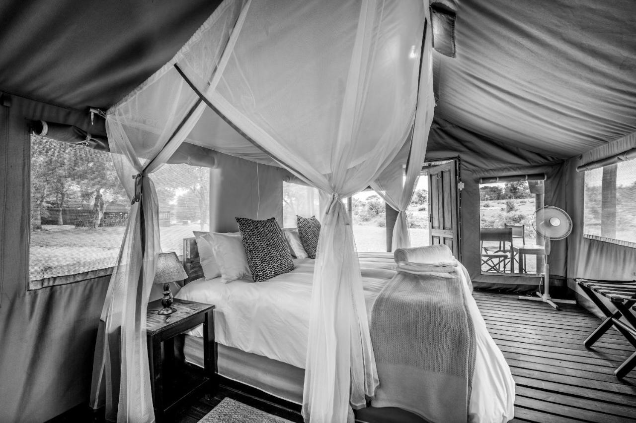 Shindzela Tented Camp Game ReserveTimbavati Exterior foto
