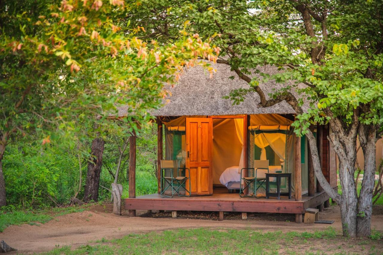 Shindzela Tented Camp Game ReserveTimbavati Exterior foto