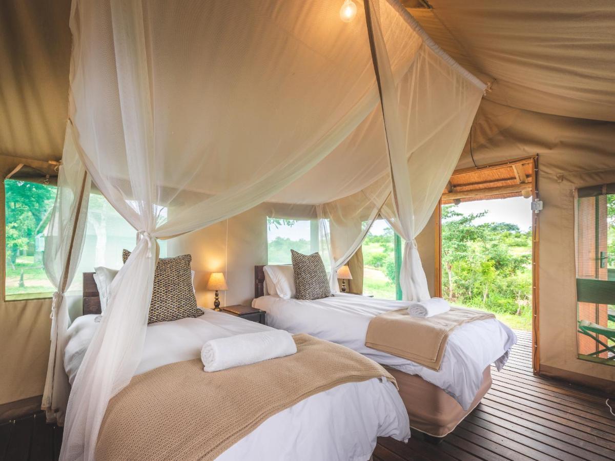 Shindzela Tented Camp Game ReserveTimbavati Exterior foto