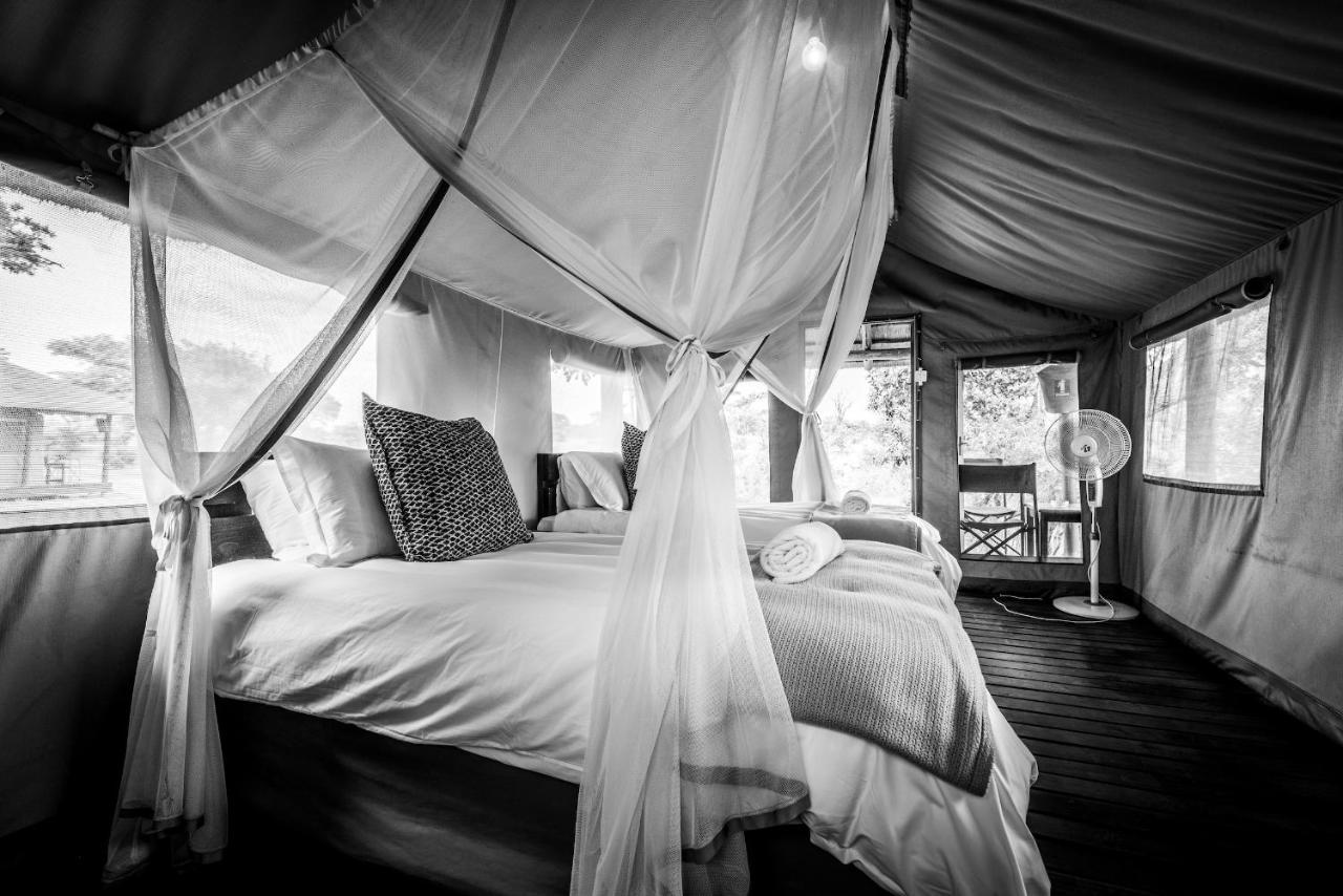 Shindzela Tented Camp Game ReserveTimbavati Exterior foto