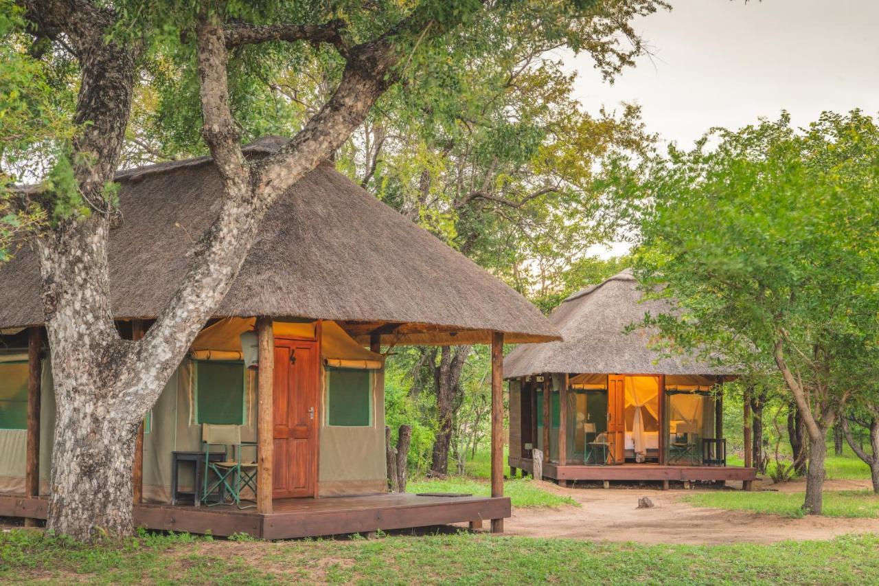 Shindzela Tented Camp Game ReserveTimbavati Exterior foto