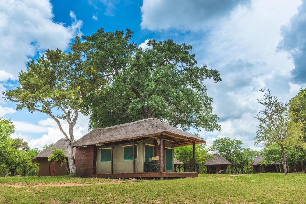 Shindzela Tented Camp Game ReserveTimbavati Exterior foto